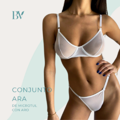 Conjunto ARA en internet