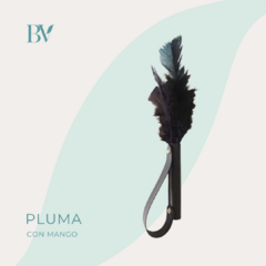 Pluma con mango