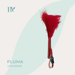 Pluma con mango - comprar online
