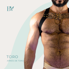 Arnés de torso Toro