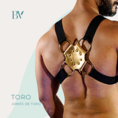 Arnés de torso Toro - comprar online