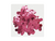 CONFETE METALIZADO ROSA 10g na internet