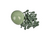 BALAO LISO RED. 09 VERDE EUCALIPTO PIC PIC 50 UN