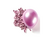 BALAO PLATINO RED. 05 ROSA PIC PIC 25 UN