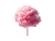 AÇÚCAR CRISTAL ROSA MELANCIA 80gr - comprar online