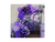 BALAO LISO RED. 08 VIOLETA PIC PIC 50 UN na internet