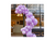 BALAO LISO RED. 16 LILAS PIC PIC 12 UN na internet