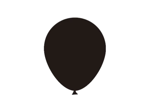 BALAO LISO No5 C/50 PRETO