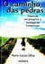 O Caminho das Pedras (autografado) - Autor: Auro Lúcio Silva (2002) [usado]