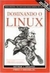 Dominando o Linux - Autor: Matt Welsh; Lar Kaufman (1997) [usado]