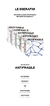 LE SSERAFIM 2nd Mini Album ANTIFRAGILE Compact Ver Random - comprar en línea
