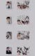 Imagen de Seventeen 10th Mini Album FML Carat Ver.