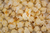 Sal Marina 50gr - Rakan Popcorn