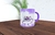 Caneca Mapa das Letras + Escritoras Vivas - comprar online