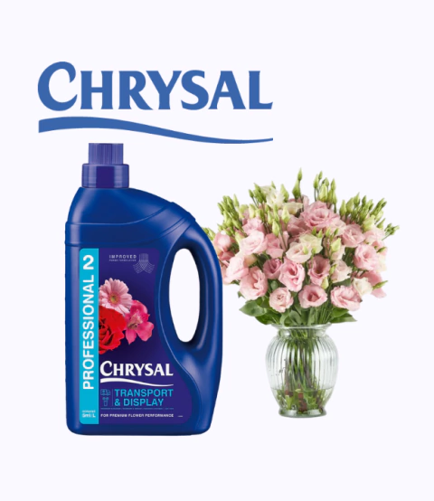 Chrysal Professional 2 Florist 1Lt