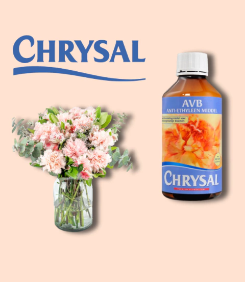 AVB 1Lt - comprar en línea