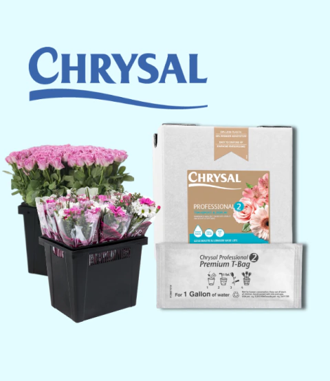 Chrysal Professional 2 Premium T-Bag - comprar en línea