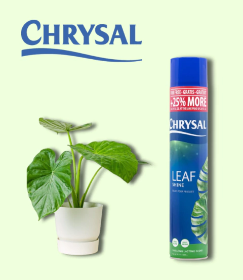 Leaf Shine Aerosol 750 mls