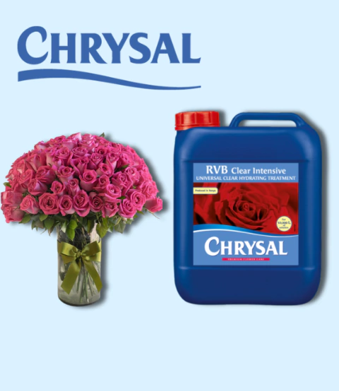 RVB CLEAR INTENSIVE 5LT