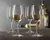Spiegelau Wine Lovers Vino Blanco 380 Ml - tienda online