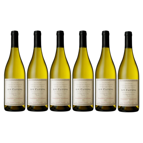 Dv Catena Chardonnay Chardonnay 750 Ml Caja x 6 un - comprar online