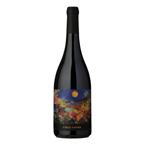 Cielo Arriba Blend Huichaira Vineyards Jujuy 750 Ml - comprar online