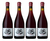 Vino Mil Demonios Pinot Noir 750 Ml Sin Reglas Wines Caja X4