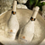 Champagne Salentein Blanc De Blancs 750ml en internet