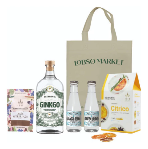Kit Regalo Gin Tonic Ginkgo Patagonia + Tonicas + Fika