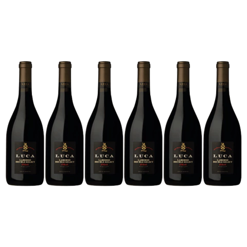 Luca Syrah Laborde Double Select 750 ml x 6 Un - comprar online