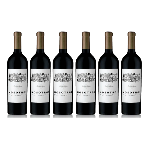 Nosotros Vineyard Malbec 750 ml x 6 Un - comprar online