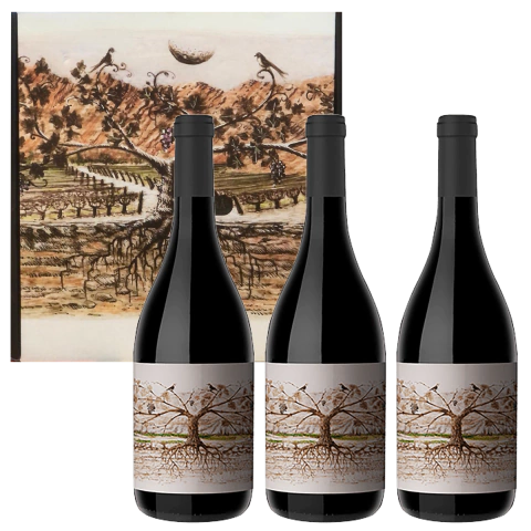 Vino Almacen De La Quebrada Cachi Salta Malbec Caja x 3 botellas - comprar online