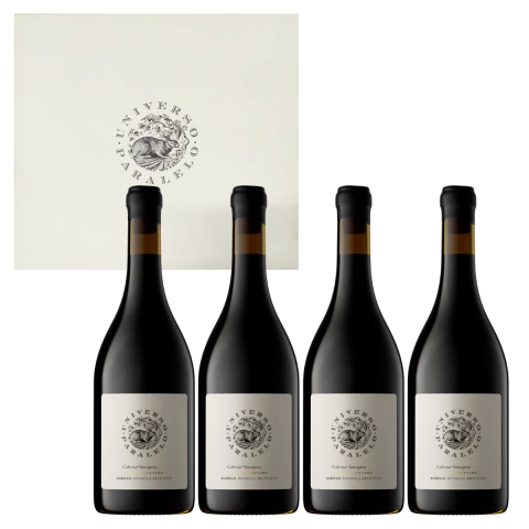 Universo Paralelo Cabernet Sauvignon 750 ml caja x 4 un - comprar online