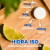 CX REPOSITOR ELETROLÍTICO HIDRA ISO SABORES C/ 6 TUBOS DOBRO - loja online