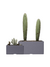 COMBO JARDINERA en internet