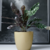 Maceta Premium N 22 - Yoko Deco Garden