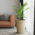 Maceta Clasica - Yoko Deco Garden