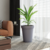 Maceta Clasica - tienda online
