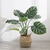 PLANTA MOSTERA 1,20 CM artificial - comprar online