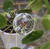 GOTA DE RIEGO XL - comprar online