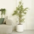 PLANTA BAMBU 1,50 CM artificial - comprar online