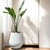 STRELITZIA NICOLAI GRANDE - comprar online