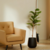 FICUS PANDURATA 1.20 artificial - comprar online