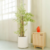 PLANTA BAMBU 1,20 CM artificial - comprar online