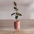 Maceta Berlin - comprar online