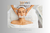 Banner de DopamineeStore