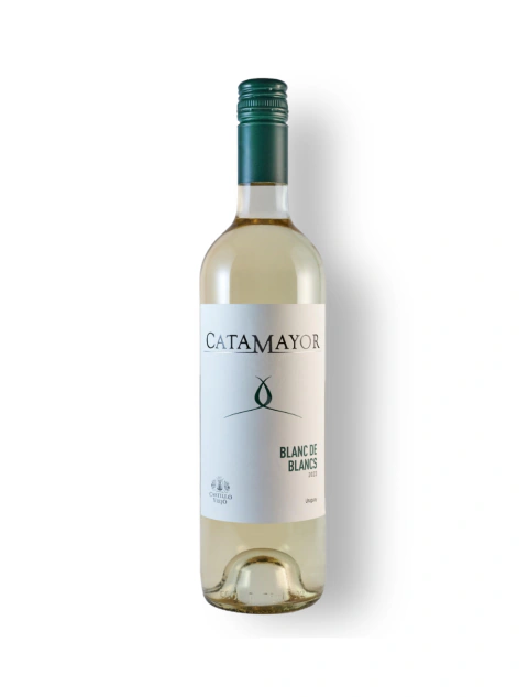 Vinho Branco Castillo Viejo Blanc de Blancs 2024 – Uruguai