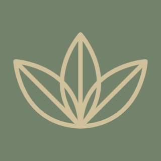 M3 Spa & Wellness