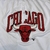 Imagem do Shorts NK NBA Chicago Bulls (Branco)