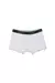 Boxer Lime White